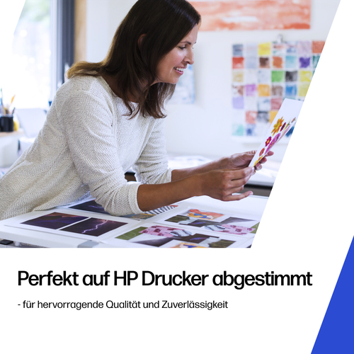 HP 303 2er-Pack Schwarz/Cyan/Magenta/Gelb Original Tintenpatronen