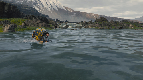 Sony Interactive Entertainment Death Stranding Standard PlayStation 4