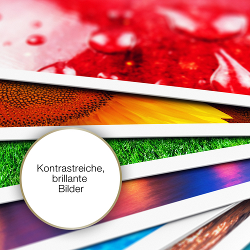 Epson Glossy Photo Paper (100 x 150 mm), 200 g/m2, 100 Blatt