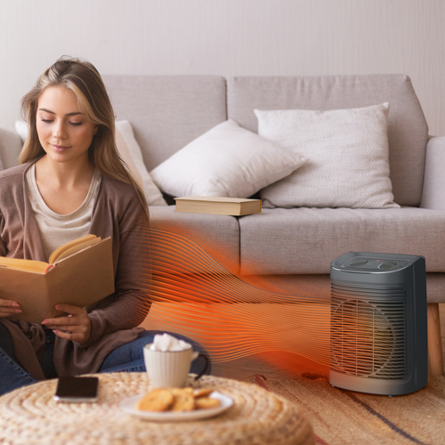 Rowenta Instant Comfort SO6511 Drinnen Grau 2200 W Elektrischer Raumheizlüfter