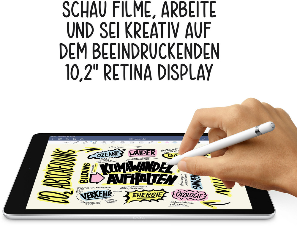  Apple iPad 10.2 Zoll WiFi 256GB Space Grau (2021, 9. Generation, MK2N3FD/A)