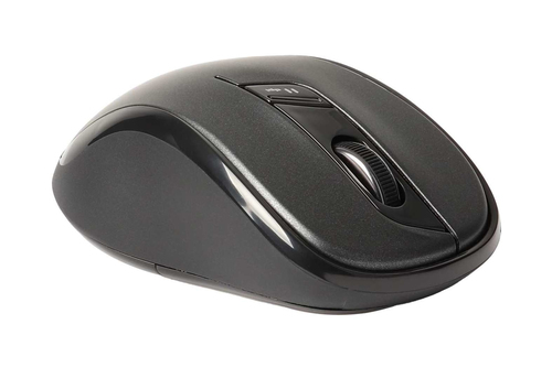 Rapoo M500 Silent Maus rechts RF Wireless + Bluetooth Optisch 1600 DPI